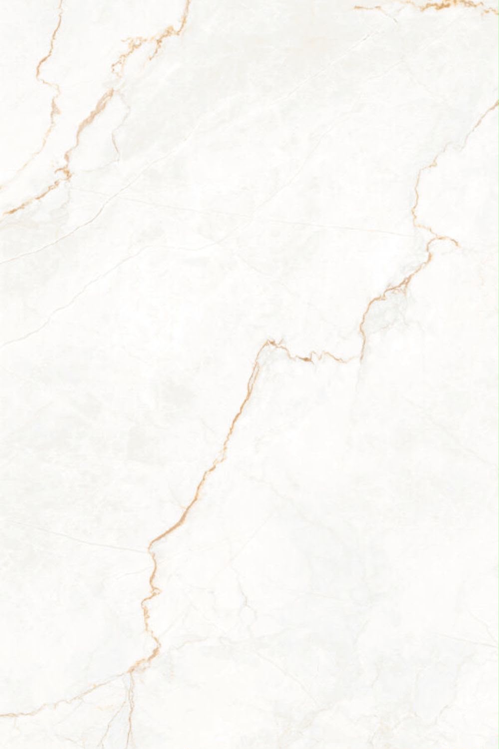 Porcelain 17