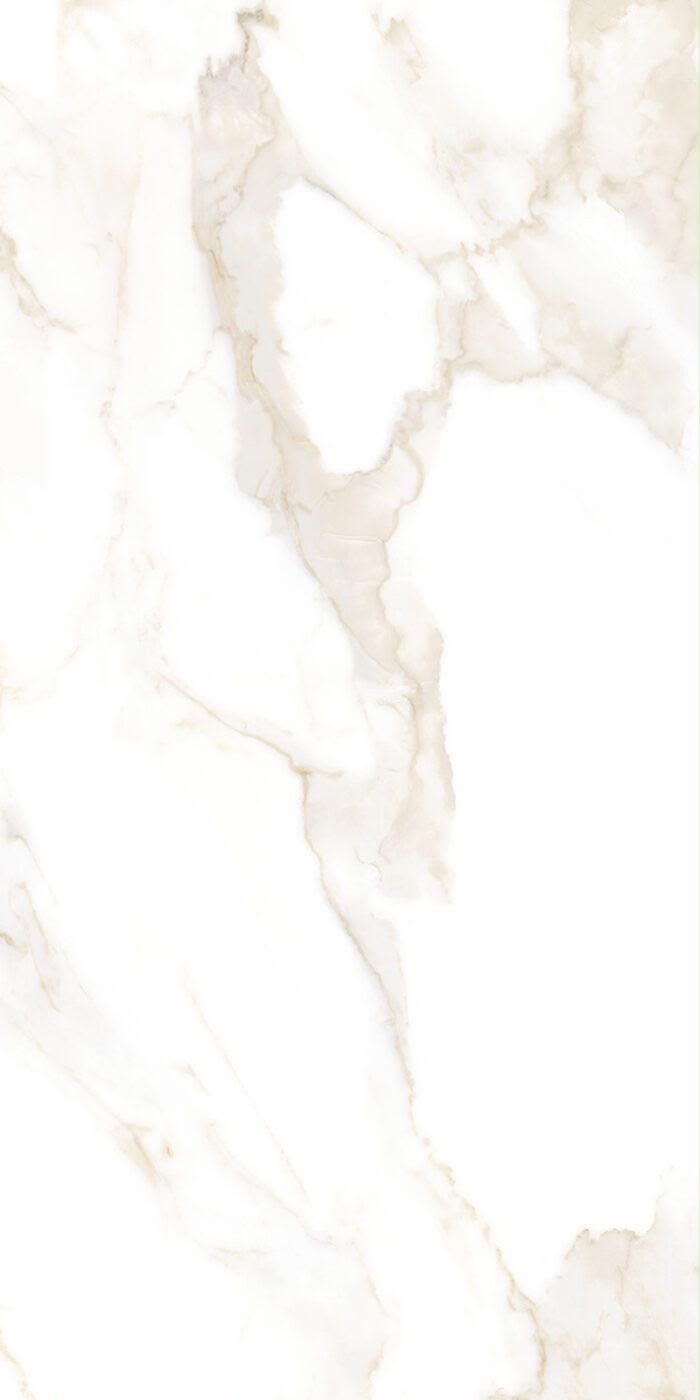 Porcelain 19