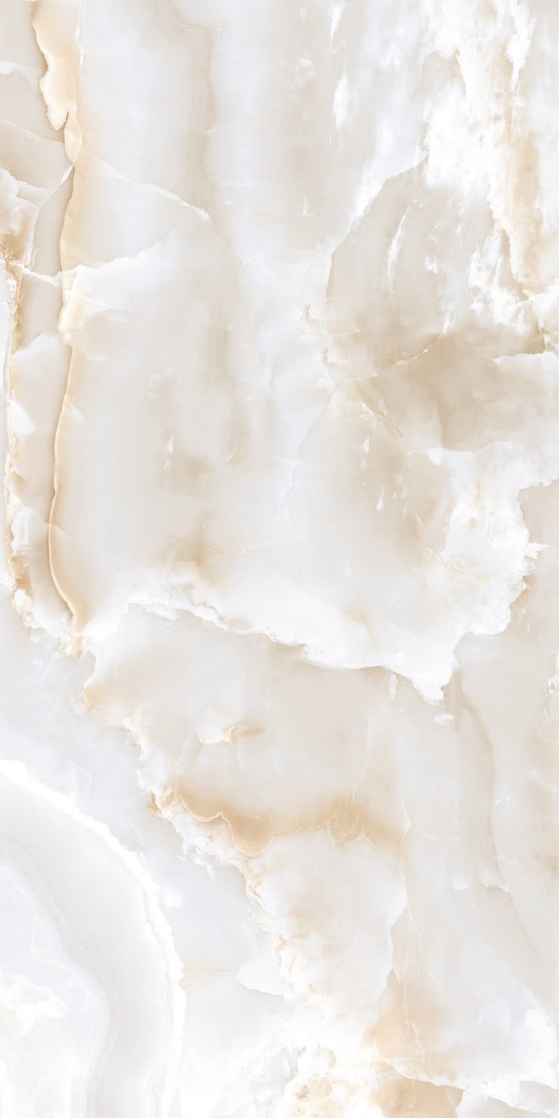 Porcelain 42