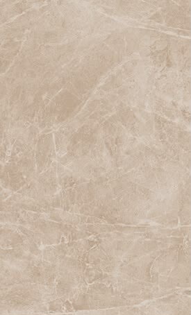 Porcelain 31