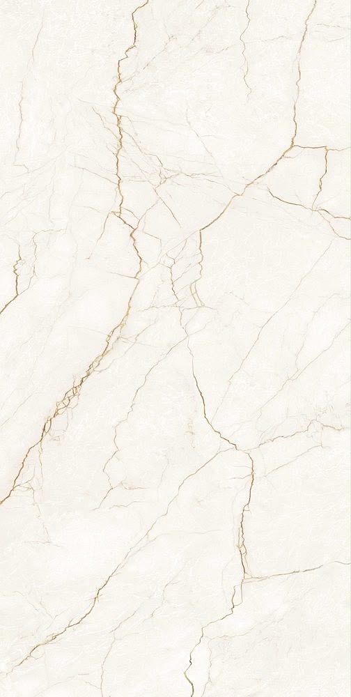 Porcelain 29